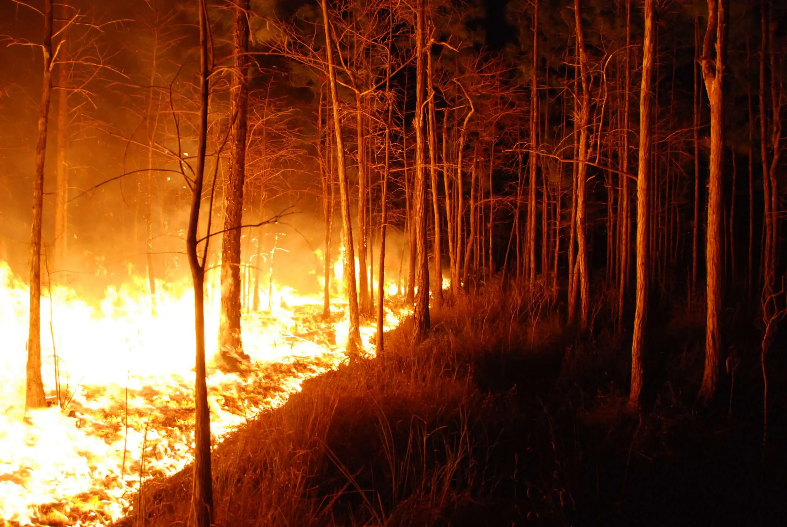 Tips for driving through a fire-ravaged area
