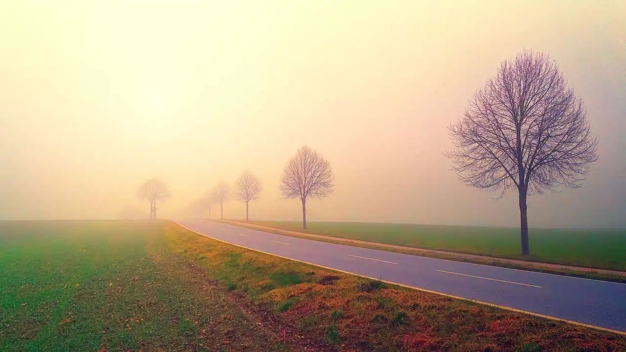 Tips for early morning drivers